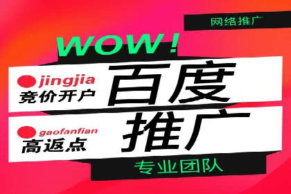 百度SEM竞价广告投放案例：效果显著