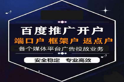 百度推广实战：成功案例解析